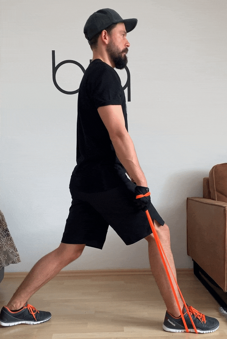 Lunges gif